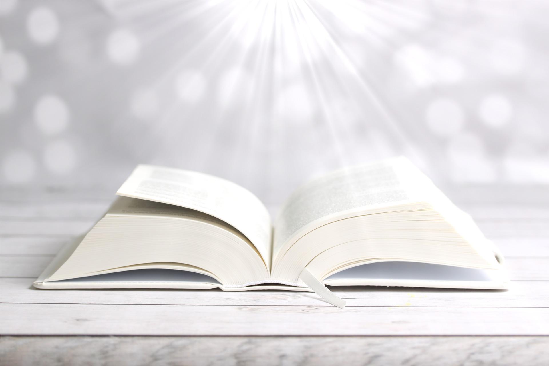 BUSQUE PRIMEIRO O REINO