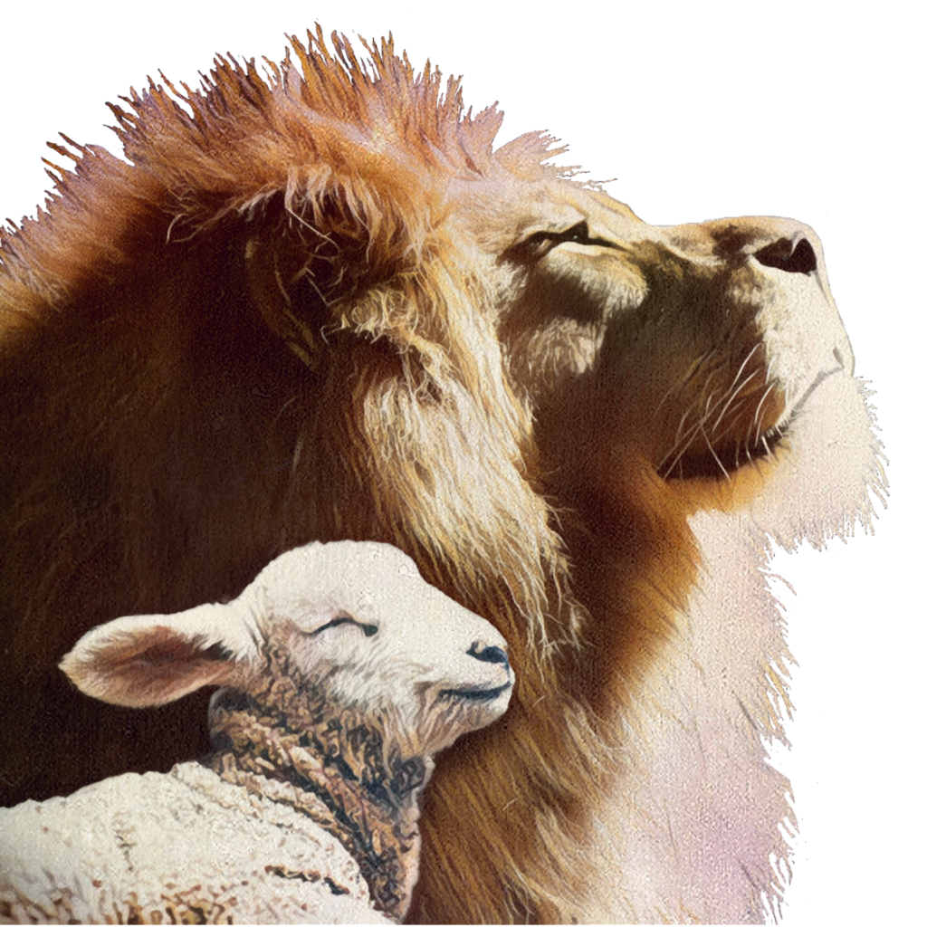 VOCÊ NÃO ESTÁ SÓ